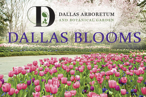 Dallas Blooms Festival Botanical Gardens
