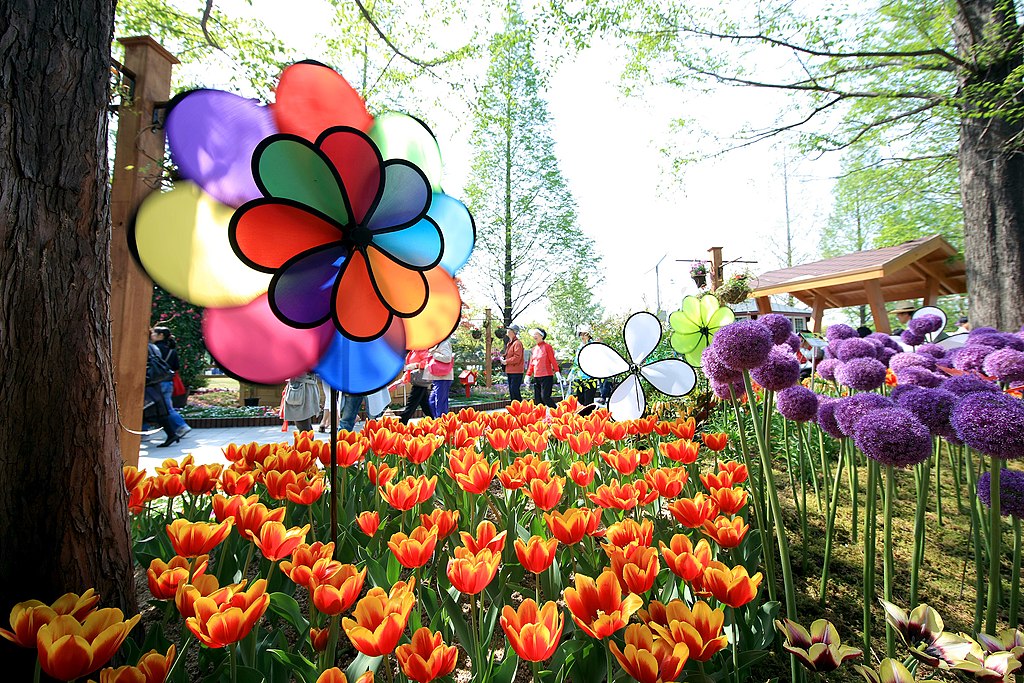 Flower Festival and Garden Festival with Blooming Tulips and exotics Flowers