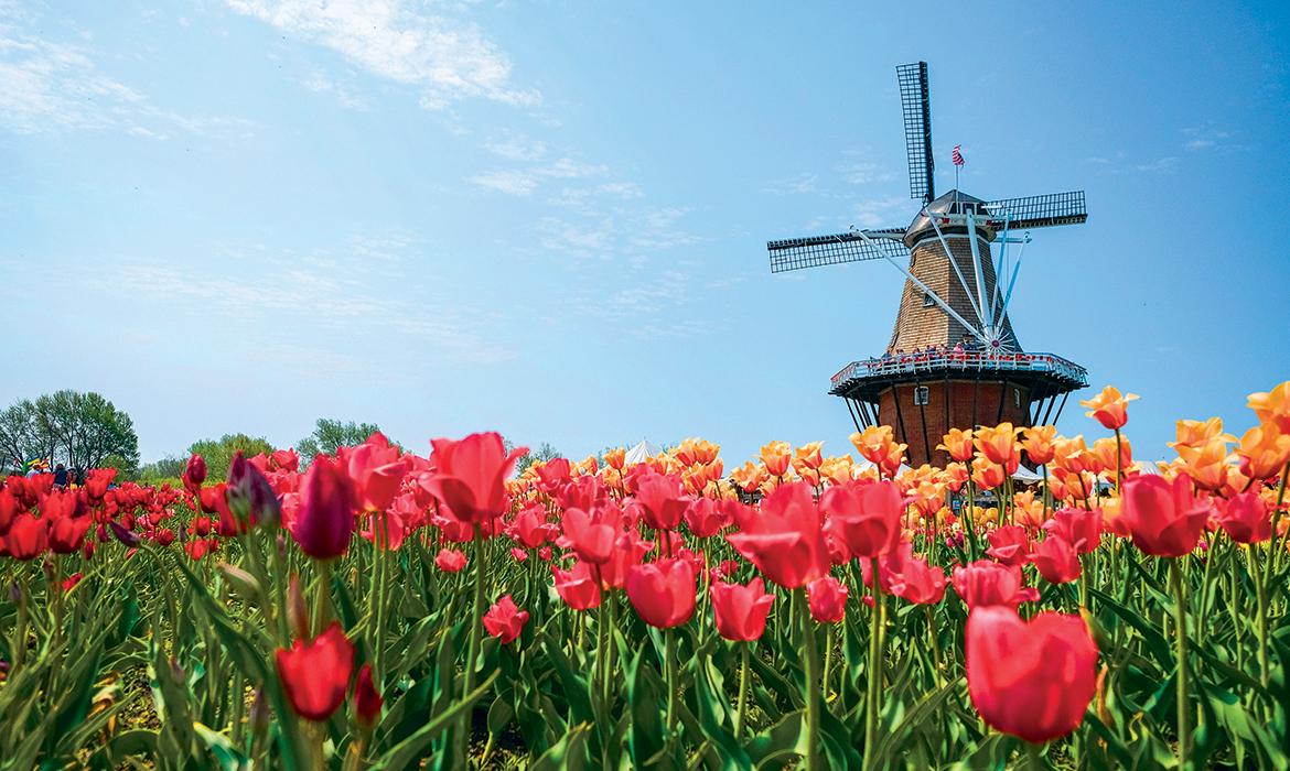 Tulip Time Flower Festival in Holland, Michigan